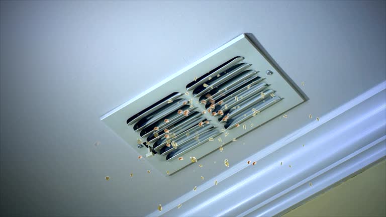 Best Dryer Vent Cleaning Services  in Trabuco Nyon, CA