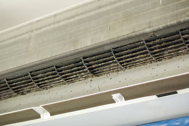 Best Commercial Air Duct Cleaning  in Trabuco Nyon, CA